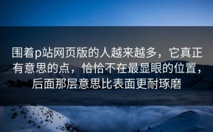 围着p站网页版的人越来越多，它真正有意思的点，恰恰不在最显眼的位置，后面那层意思比表面更耐琢磨