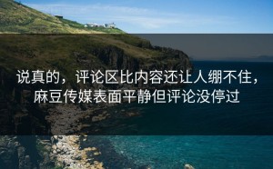 说真的，评论区比内容还让人绷不住，麻豆传媒表面平静但评论没停过