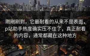 刚刚刷到，它最耐看的从来不是表面，p站助手热度确实压不住了，真正耐看的内容，通常都藏在这种地方