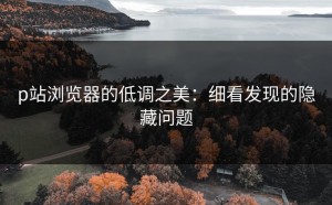 p站浏览器的低调之美：细看发现的隐藏问题
