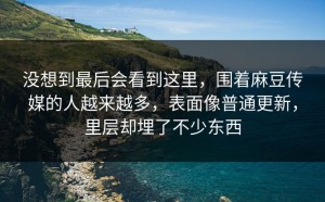 没想到最后会看到这里，围着麻豆传媒的人越来越多，表面像普通更新，里层却埋了不少东西