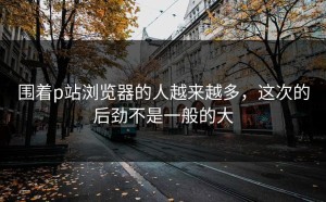 围着p站浏览器的人越来越多，这次的后劲不是一般的大