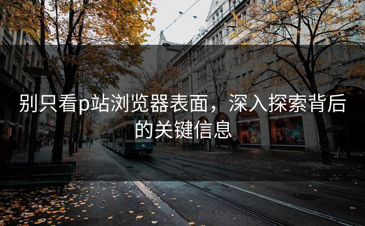 别只看p站浏览器表面，深入探索背后的关键信息