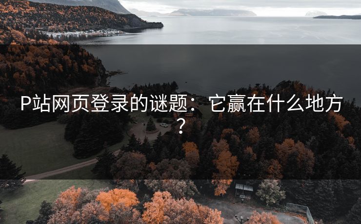 P站网页登录的谜题:它赢在什么地方? P站网页登录的谜题:它赢在什么地方?